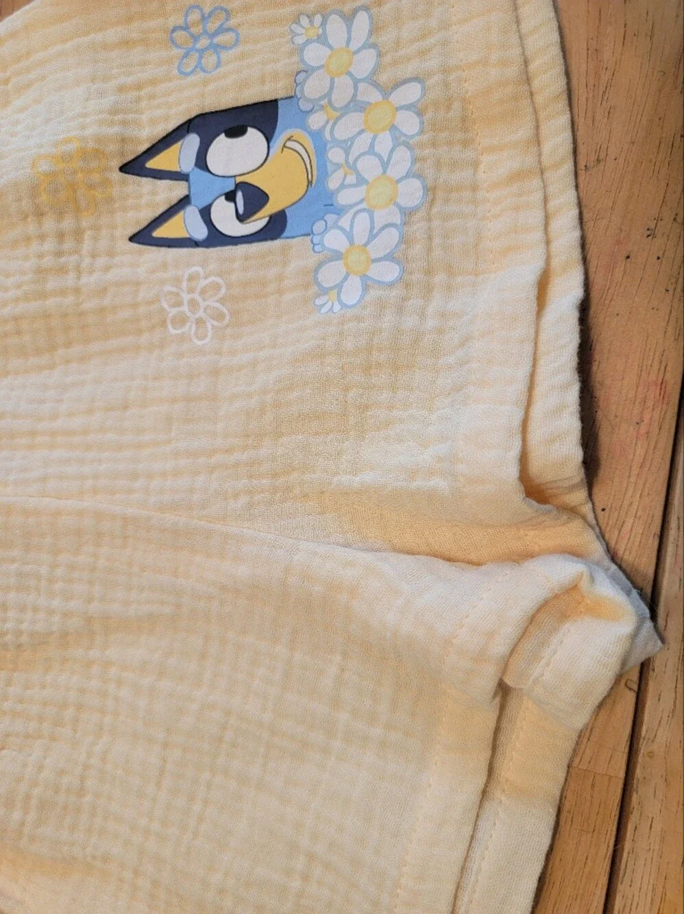 Baby 2-piece Soft Yellow Short Sleeve, Shorts Bluey Set- 12 Months